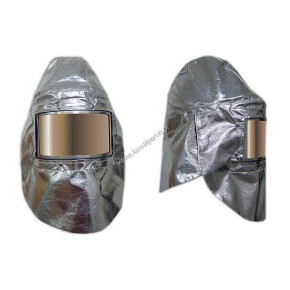 Head and face protector